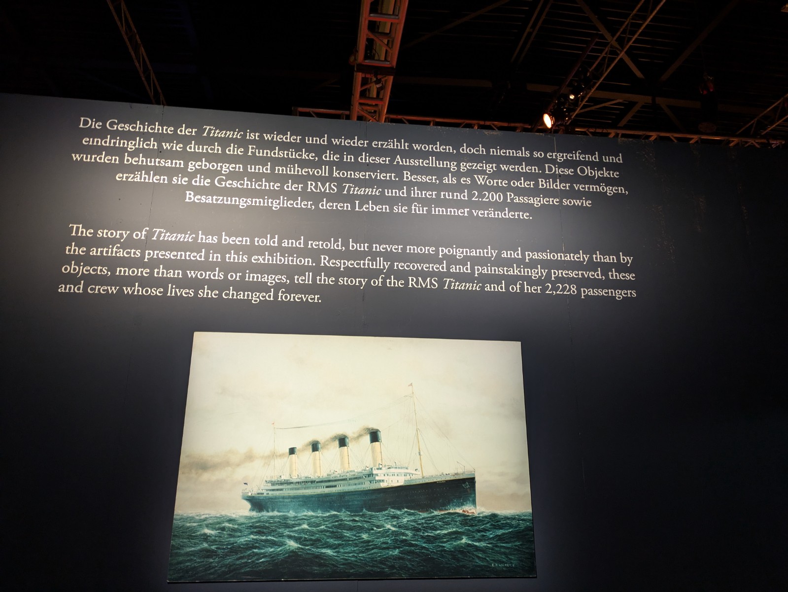 PXL 20241217 100300334